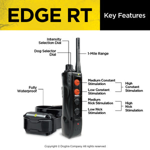 DOGTRA EDGE RT