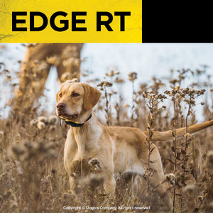 DOGTRA EDGE RT