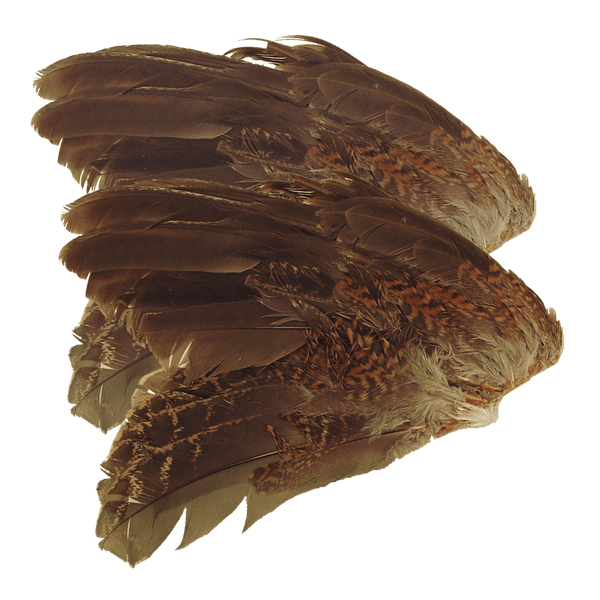 Quail Wings (2 Pack) Classic T Designs